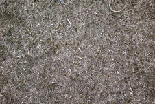 Tornitura ottone